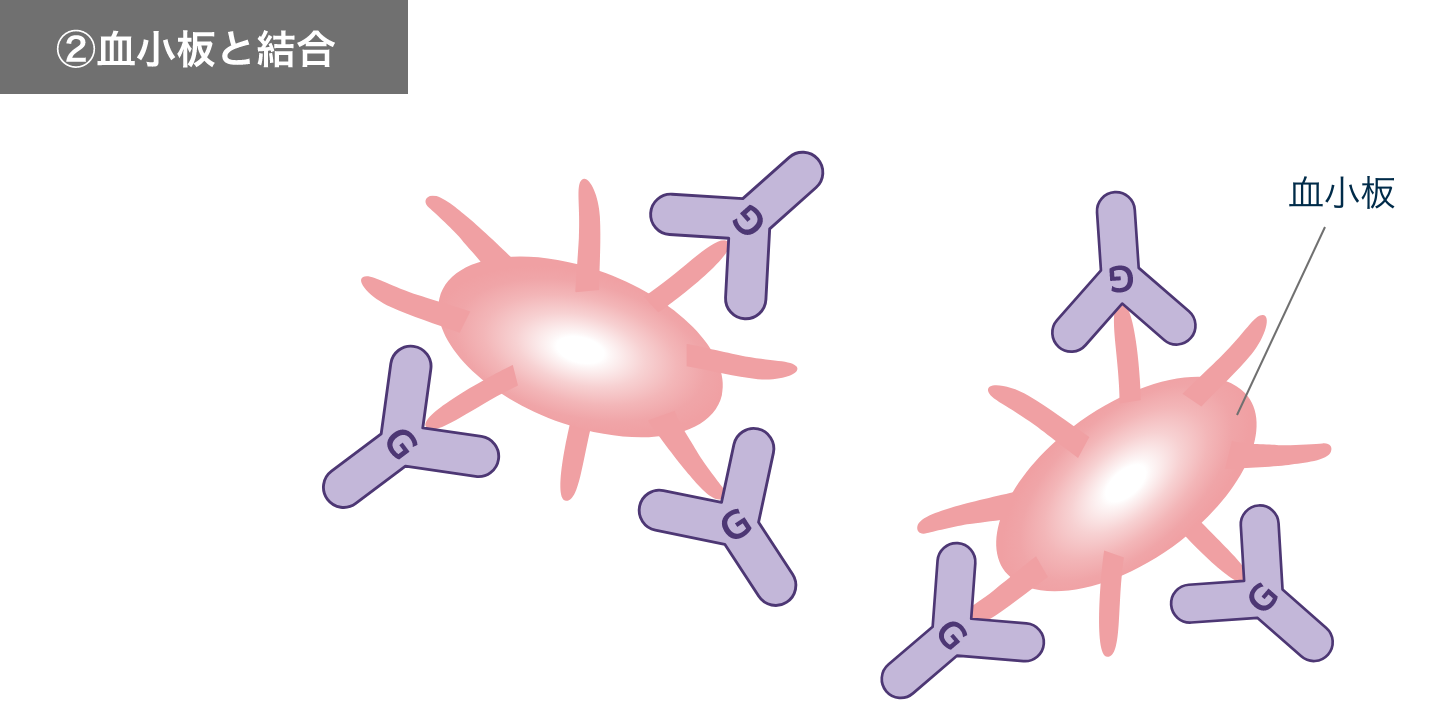 血小板と結合