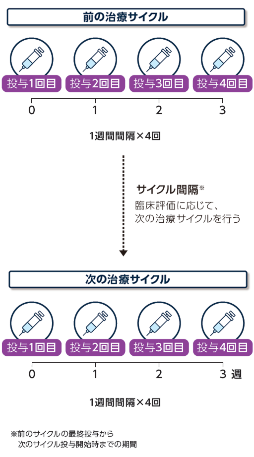 投与サイクル