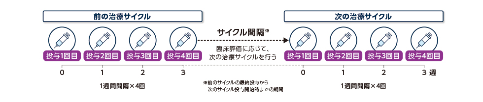 投与サイクル